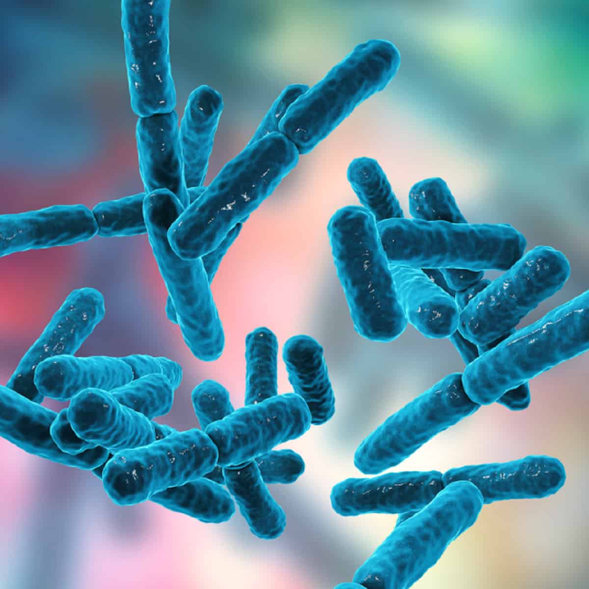 Bifidobacterium infantis Nasıl Bir Probiyotiktir?